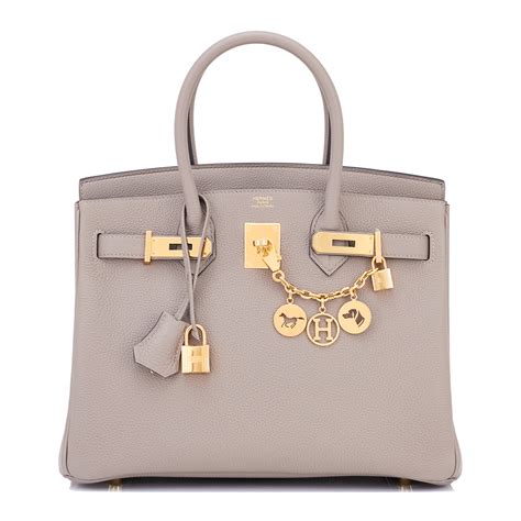 birkin bag pictures